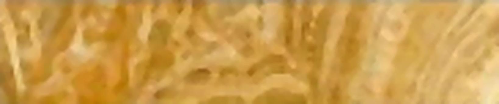 Virony Ceramic Wall Finishing Tile Pale Gold, Mustard Glazed , 120x600 mm of 1 pcs